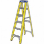 Louisville Type 1 Ladder