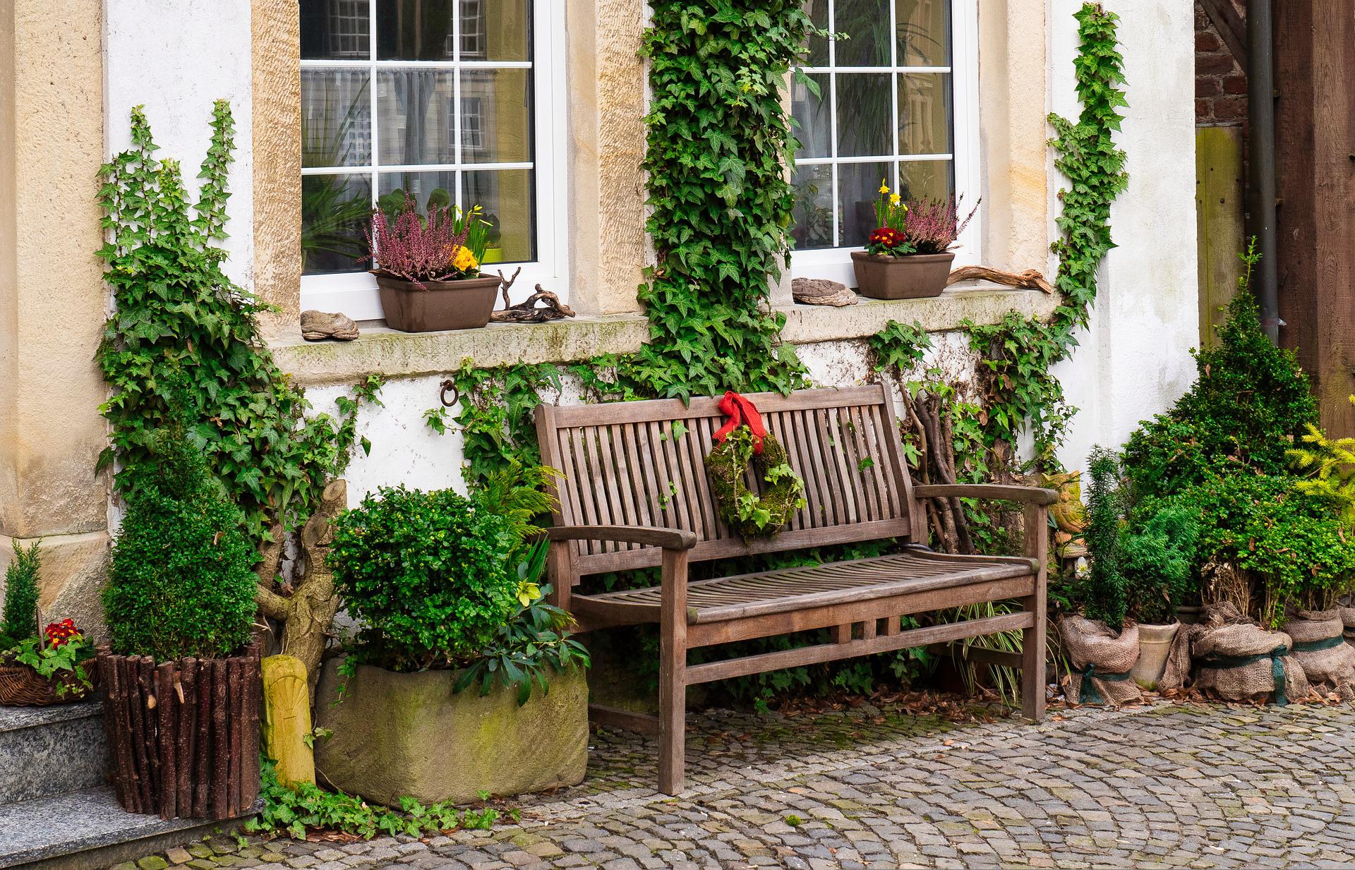 weathered bench