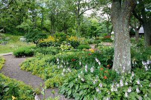 flowers and plants