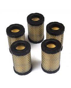 Briggs & Stratton AIR-FILTER (5 X 594201) 4243