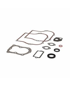 Briggs & Stratton GASKET SET-ENGINE 555210 1