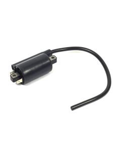 Briggs & Stratton COIL-IGNITION 820037 1