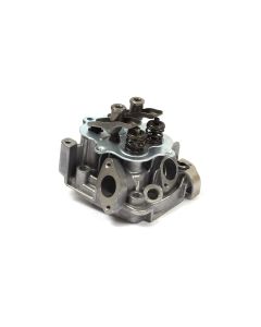 Briggs & Stratton HEAD-CYLINDER 555635