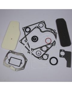 Briggs & Stratton GASKET SET-ENGINE 393411