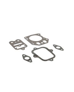 Briggs & Stratton GASKET SET-VALVE 555581 1