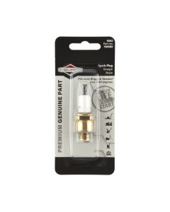 Briggs & Stratton Platinum Spark Plug (DIY Packaged Version of 796560) 5062K