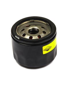Briggs & Stratton Oil Filter 842921