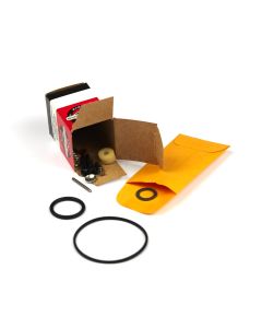 Briggs & Stratton KIT-CARB OVERHAUL 494349 1