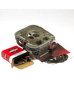 Briggs & Stratton HEAD, CYLINDER 84001919 1