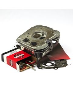 Briggs & Stratton HEAD-CYLINDER 796231 1
