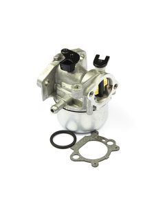 Briggs & Stratton Carburetor 799866