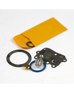 Briggs & Stratton KIT-CARB OVERHAUL 494625 1