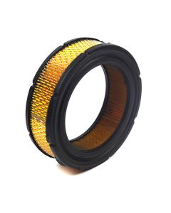 Briggs & Stratton FILTER-A/C CARTRIDGE 841856 1
