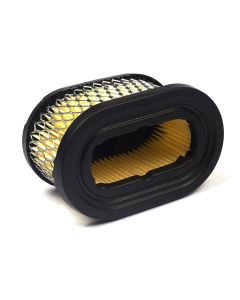 Briggs & Stratton FILTER-A/C CARTRIDGE 497725S