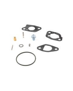 Briggs & Stratton KIT-CARB OVERHAUL 591770