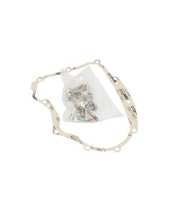 Briggs & Stratton GASKET-CRANKCASE KIT 594195 1